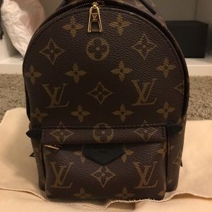 Louis Vuitton Palm Springs Mini Backpack